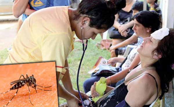 El director de Epidemiología del Ministerio de Salud de la Nación, Jorge San Juan, reconoció que “casi todas las provincias ya tienen casos de dengue, ya es una epidemia”.