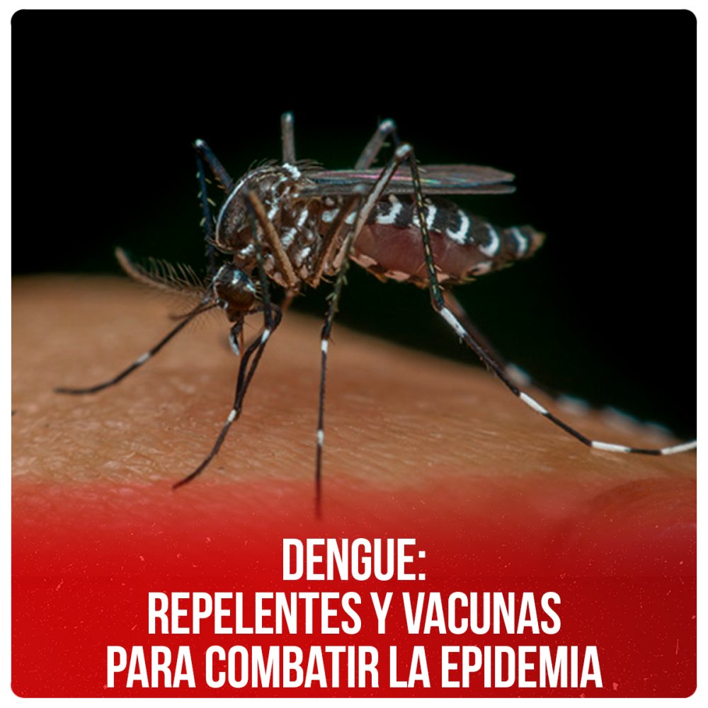 Dengue: repelentes y vacunas para combatir la epidemia