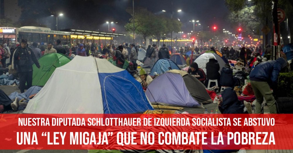 Nuestra diputada Schlotthauer de izquierda socialista se abstuvo: Una “ley migaja” que no combate la pobreza