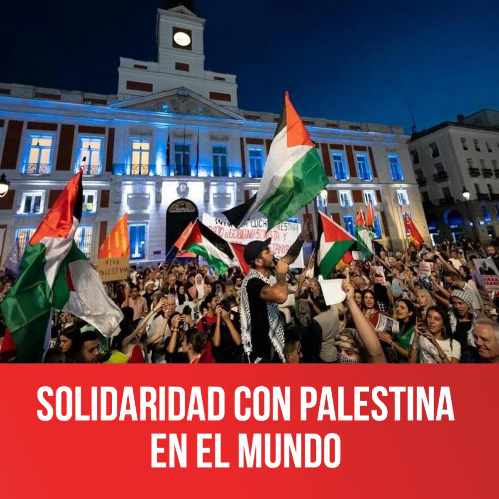 Solidaridad con Palestina en el mundo