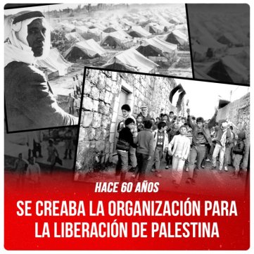 Hace 60 años / Se creaba la Organización para la Liberación de Palestina