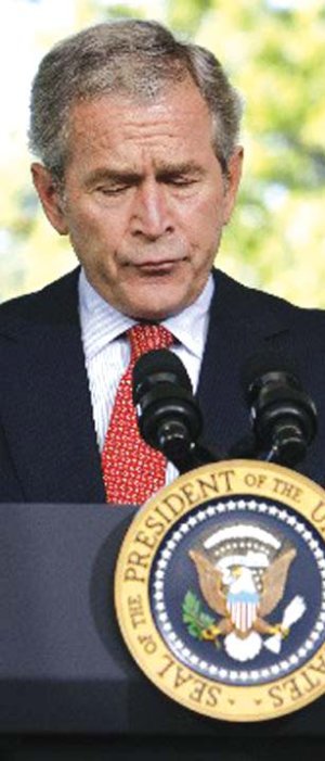 Bush