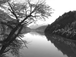 Vista del Parque Nacional Los Alerces antes del incendio.