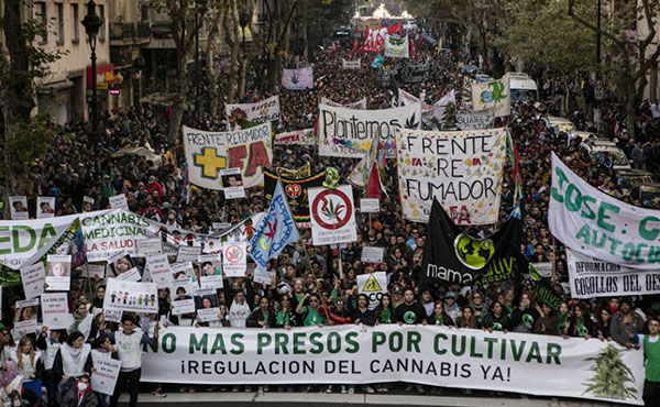 El pasado sábado 7 de mayo se realizaron masivas movilizaciones en todo el país por la legalización de la marihuana.