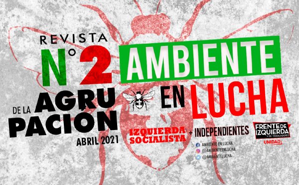 Ambiente en Lucha N° 2