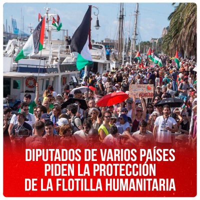 Diputados de varios países piden la protección de la flotilla humanitaria