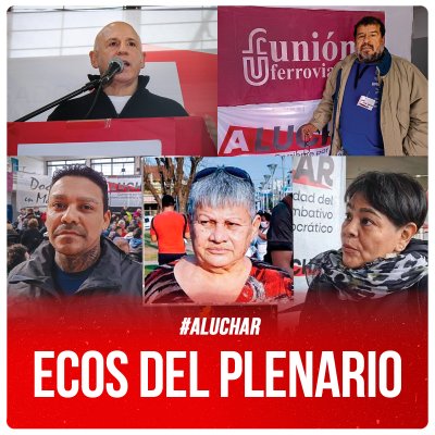 #ALuchar / Ecos del plenario