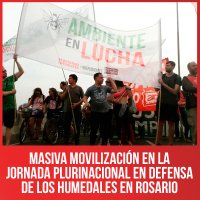 Masiva movilización en la jornada plurinacional en defensa de los humedales en Rosario