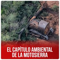 El capítulo ambiental de la motosierra