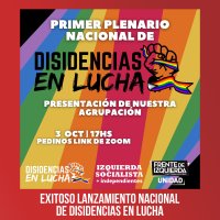 Exitoso lanzamiento nacional de Disidencias en Lucha