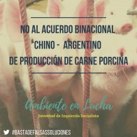NO al acuerdo binacional chino-argentino de producción de carne porcina