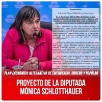 Plan económico alternativo de emergencia, obrero y popular / Proyecto de la diputada Mónica Schlotthauer