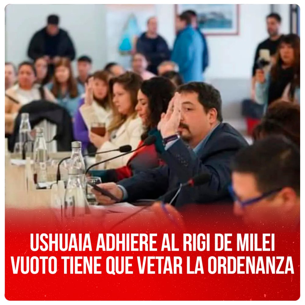 Ushuaia adhiere al RIGI de Milei - Vuoto tiene que vetar la ordenanza