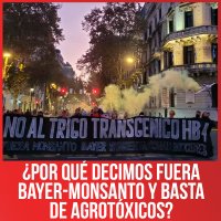 ¿Por qué decimos fuera Bayer-Monsanto y basta de agrotóxicos?