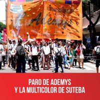 Paro de Ademys y la Multicolor de Suteba