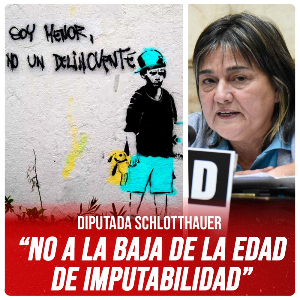 Diputada Schlotthauer / “No a la baja de la edad de imputabilidad”