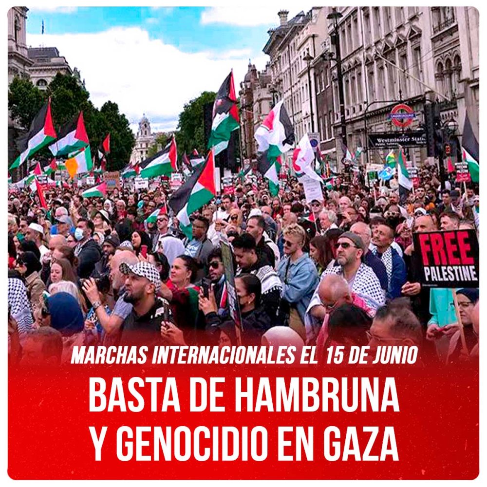 Marchas internacionales el 15 de junio / Basta de hambruna y genocidio en Gaza