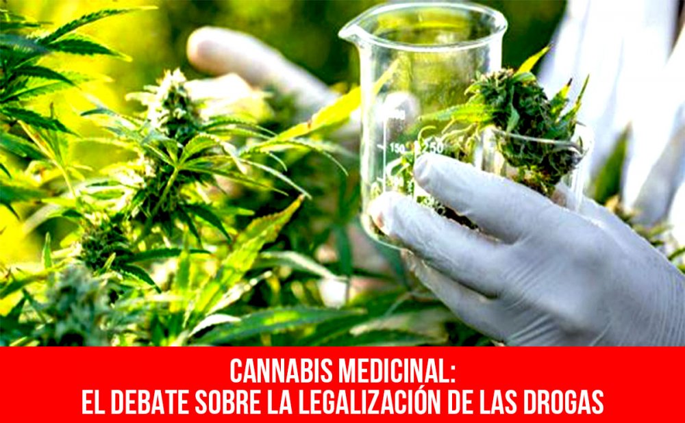 Cannabis medicinal: el debate sobre la legalización de las drogas