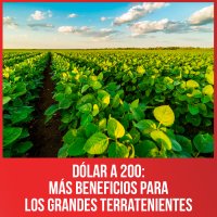 Dólar a 200: más beneficios para los grandes terratenientes