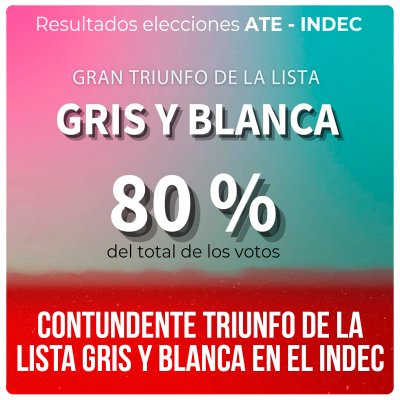 Contundente triunfo de la lista Gris y Blanca en el Indec