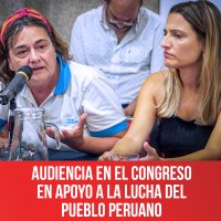 Audiencia en el Congreso en apoyo a la lucha del pueblo peruano