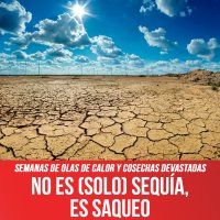 Semanas de olas de calor y cosechas devastadas / No es (solo) sequía, es saqueo