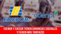 Edenor y Edesur tienen ganancias siderales y exigen más tarifazos