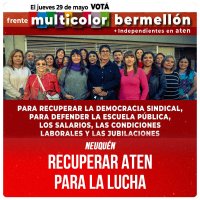 Neuquén / Recuperar ATEN para la lucha
