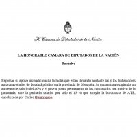 Proyecto en el Congreso de nuestro diputado Juan Carlos Giordano (Izquierda Socialista-Frente de Izquierda Unidad) en apoyo a la lucha de la salud en Neuquén