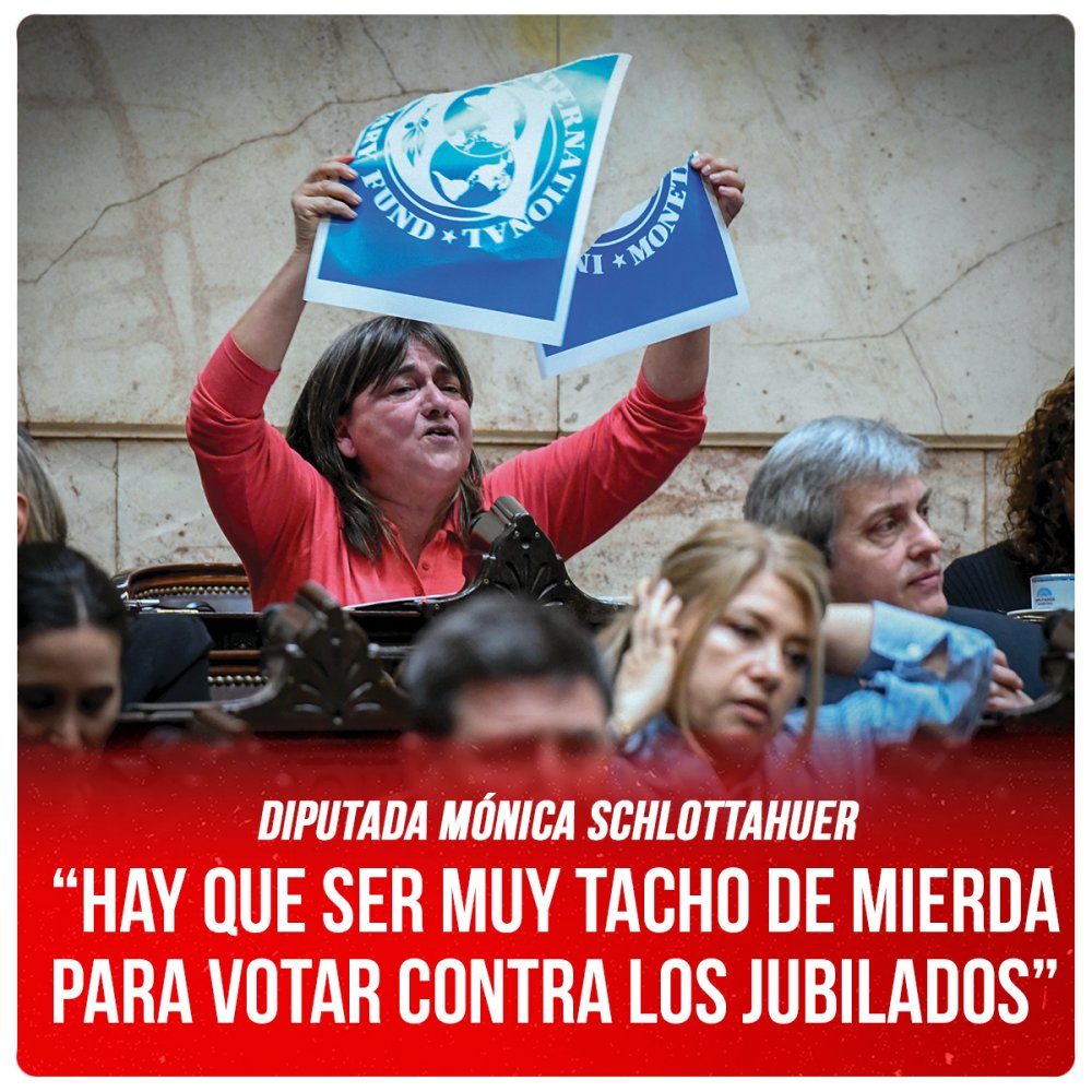 Diputada Mónica Schlottahuer “Hay que ser muy tacho de mierda para votar contra los jubilados”