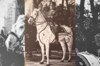 ¿Qué es el peronismo?