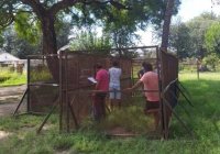 Jujuy: el gobernador Morales y su particular forma de “enfrentar” la pandemia