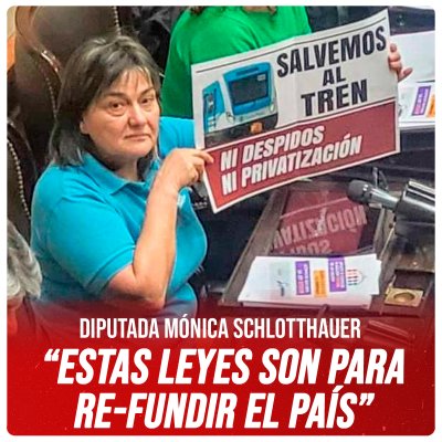 Diputada Mónica Schlotthauer / “Estas leyes son para re-fundir el país”