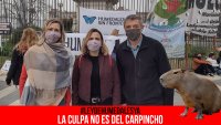 #LeyDeHumedalesYa / La culpa no es del carpincho