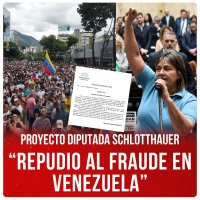 Proyecto Diputada Schlotthauer / “Repudio al fraude en Venezuela”