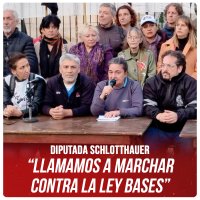 Diputada Schlotthauer “Llamamos a marchar contra la Ley Bases”