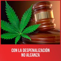 Con la despenalización no alcanza