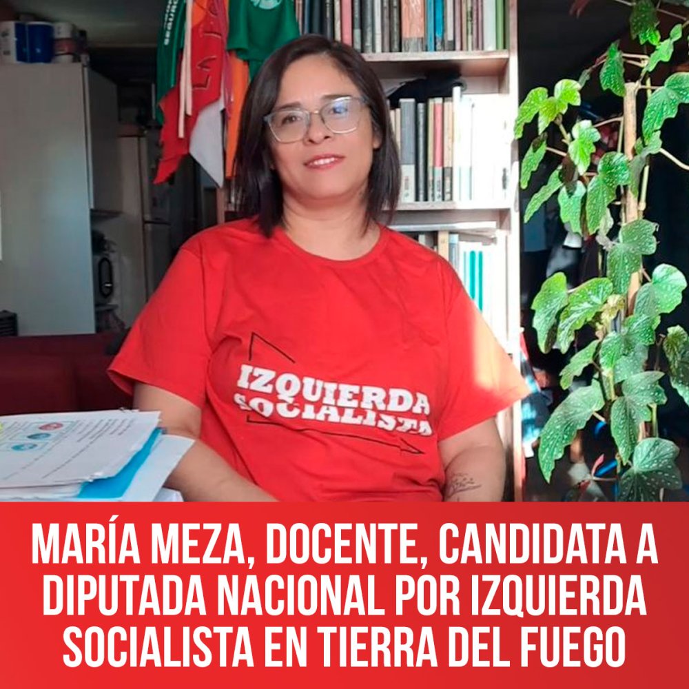 María Meza, docente, candidata a diputada nacional por Izquierda Socialista en Tierra del Fuego