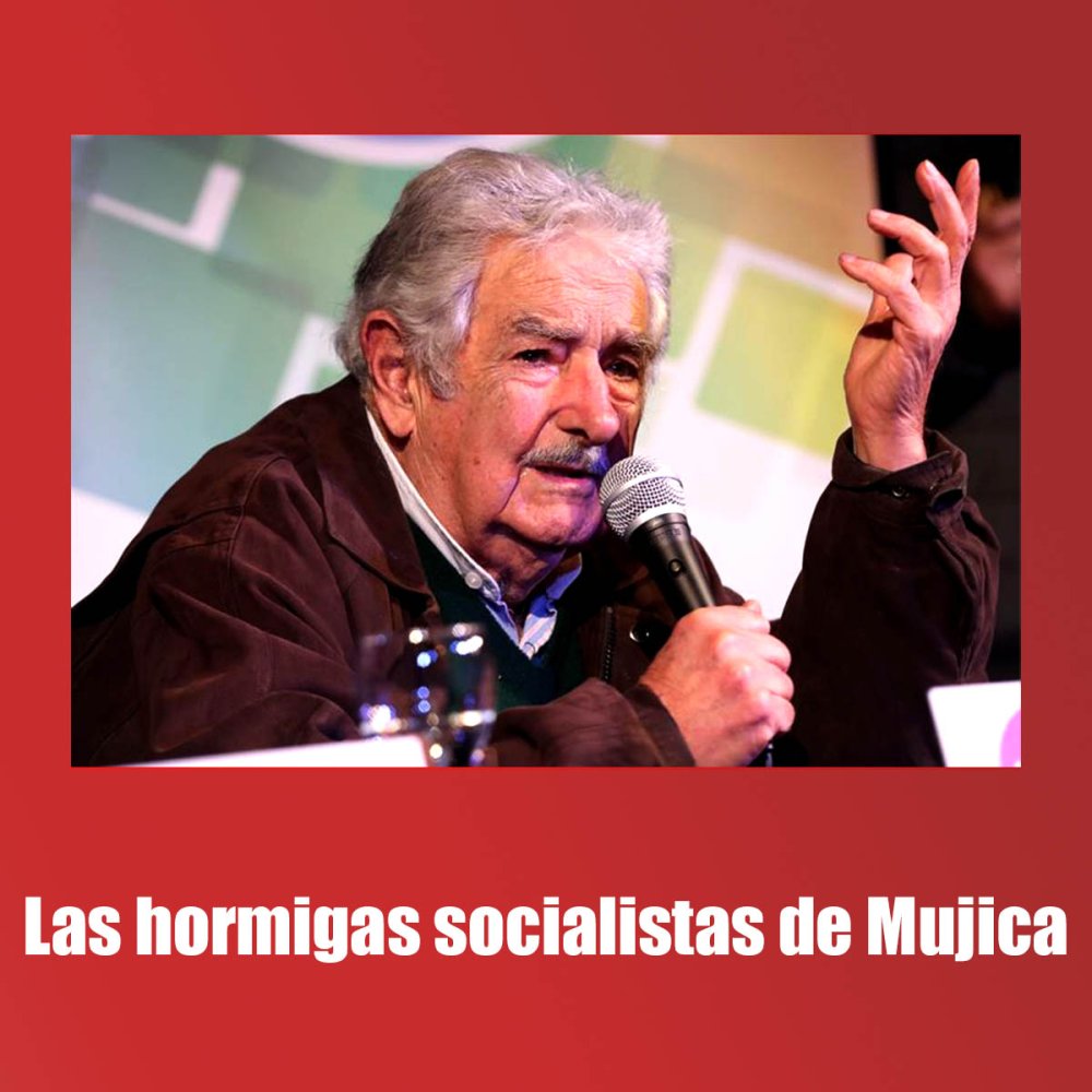 Las hormigas socialistas de Mujica