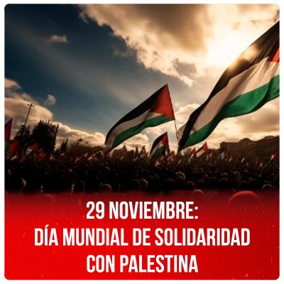 29 noviembre: día mundial de solidaridad con Palestina