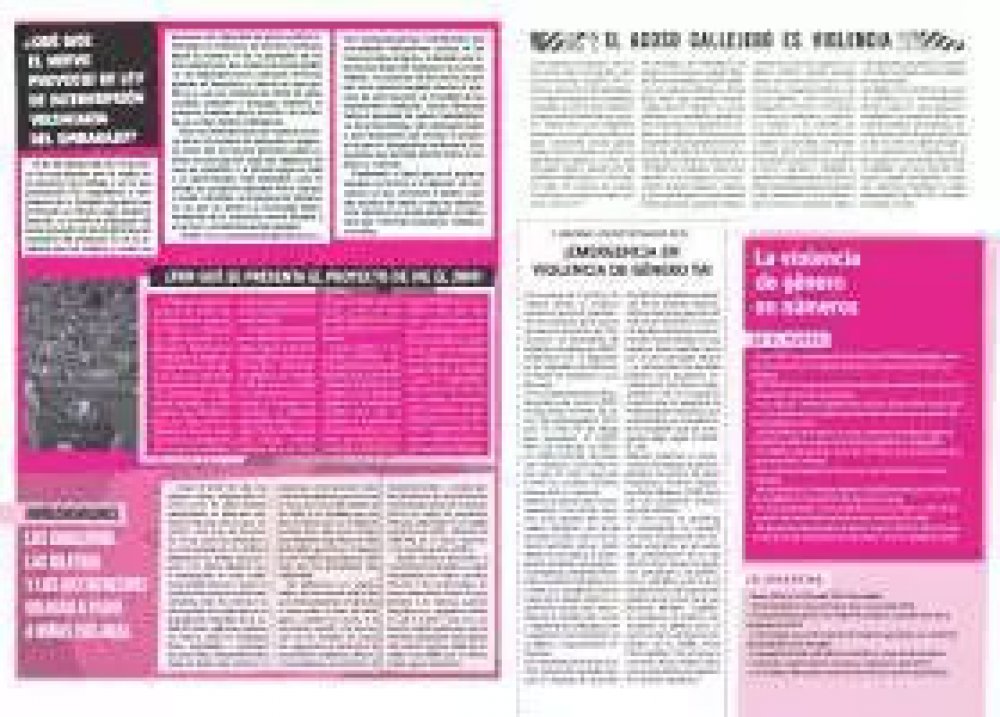 Qué dice el nuevo proyecto de ley de interrupción voluntaria del embarazo?