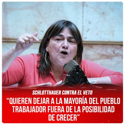 Schlotthauer contra el veto / “Quieren dejar a la mayoría del pueblo trabajador fuera de la posibilidad de crecer”