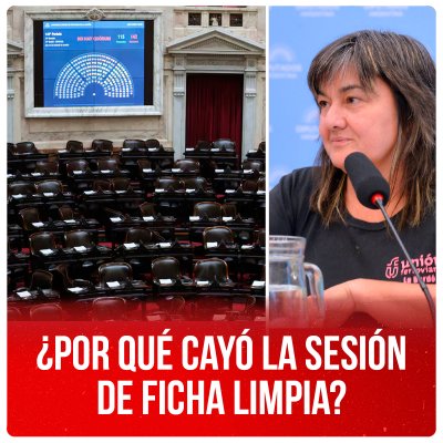 ¿Por qué cayó la sesión de ficha limpia?