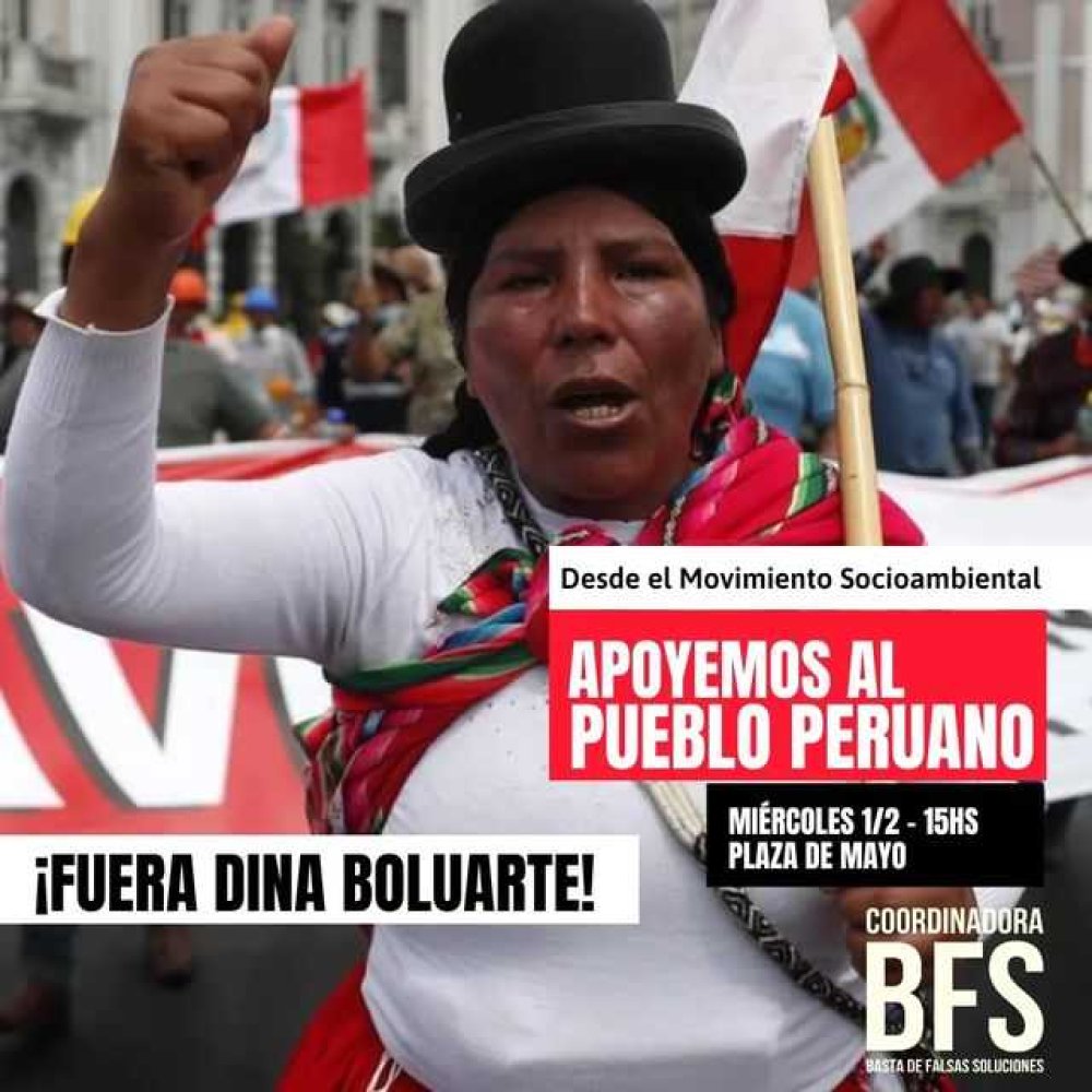 El movimiento socioambiental en apoyo a Perú
