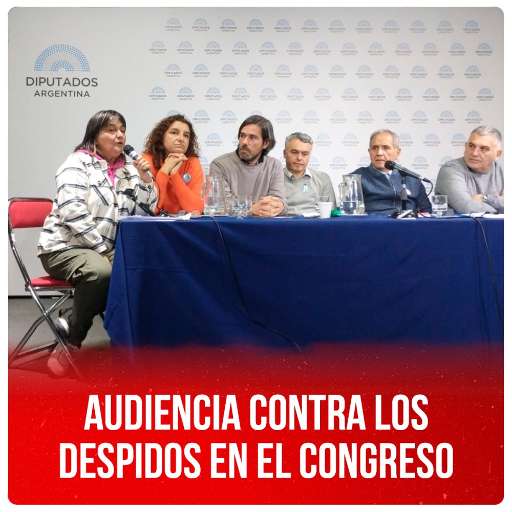 Audiencia contra los despidos en el Congreso