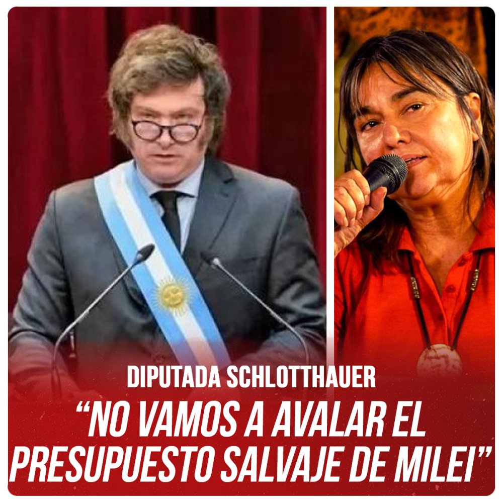 Diputada Schlotthauer “No vamos a avalar el Presupuesto salvaje de Milei”