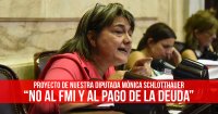 Proyecto de nuestra diputada Mónica Schlotthauer “No al FMI y al pago de la deuda”