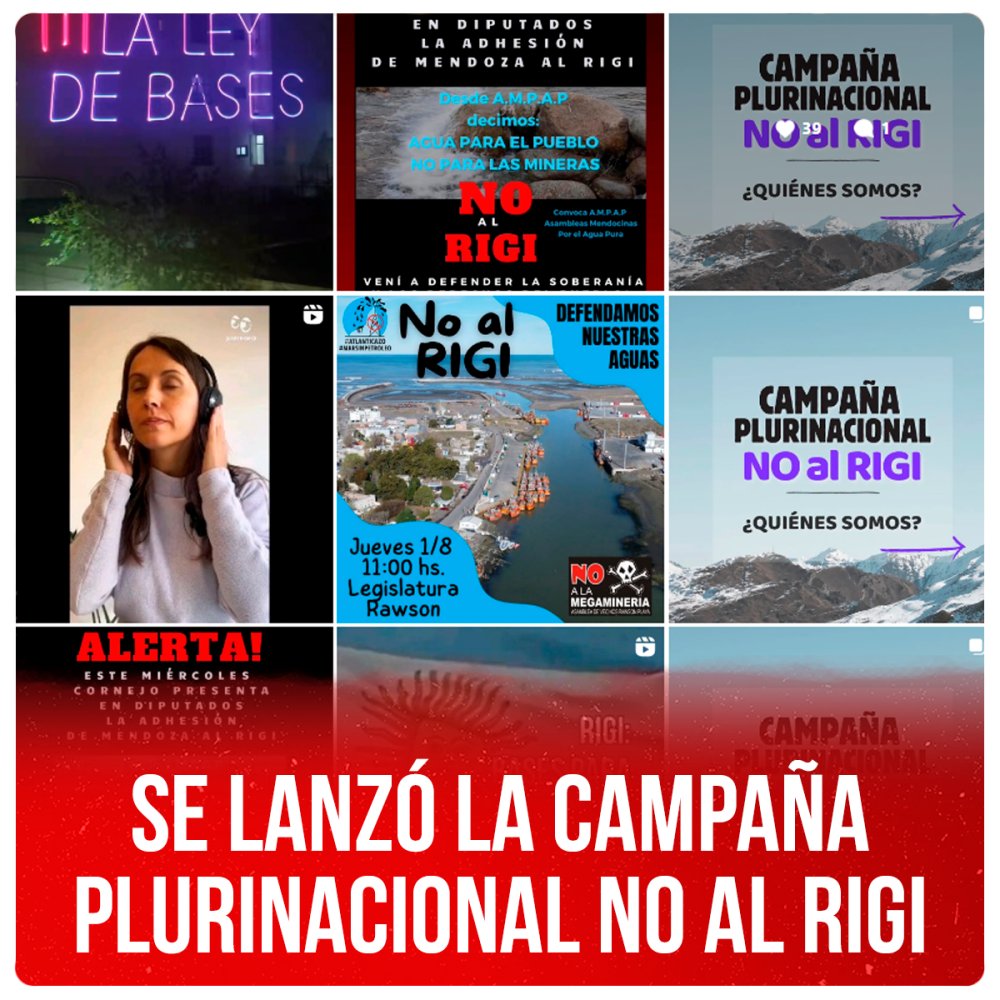 Se lanzó la campaña plurinacional NO al RIGI