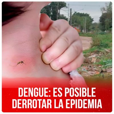 Dengue: es posible derrotar la epidemia