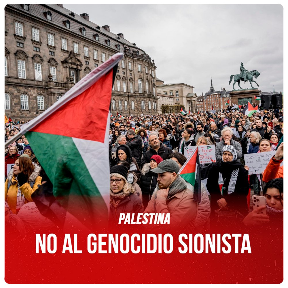 Palestina / No al genocidio sionista